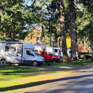 RVs in a row at Salmon Point RV Resort