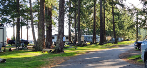 Forested RV Park on Vancouver Island